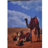 ستارة رول مقاس 200*150سم