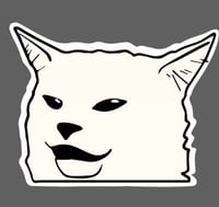 ملصق - Meme cat