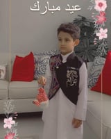 سديري بتصميم السدو