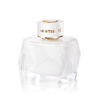 سجنتشر مونت بلانك