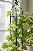 داعم للنباتات المتسلقة مكون من 4 طبقات