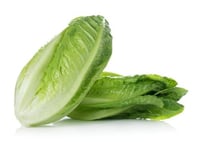 خس روماني طويل ومقرمش - Long, crunchy romaine lett...