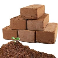 كوكوبيت ( الياف جوز الهند ) عضوي