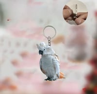 تعليقة مفتاح على شكل ببغاء