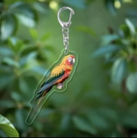 تعليقة مفتاح على شكل ببغاء