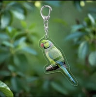 تعليقة مفتاح على شكل ببغاء