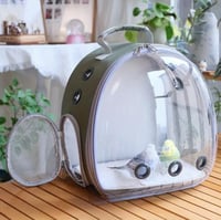 حقيبة شفاف للطيور