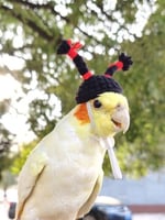 قبعة زخرفية مظفرة