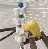 تعليقه حجر الكالسيوم للعض