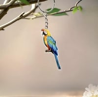 تعليقة مفتاح على شكل ببغاء