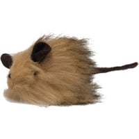 لعبة القطط ريل موسي في الفناء الخلفي من آور بيتس