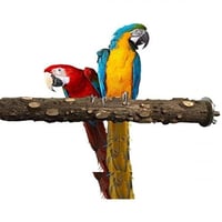 مجثم طيور على شكل غصان شجر