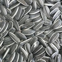 طعام الببغوات حبوب زهرة الشمس 1كيلو