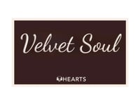 باليت شدو هارتس - VELVET SOUL