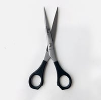 مقص شعر باسيتيل الايطالي