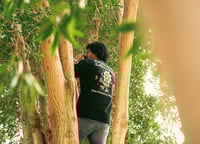 تيشيرت Coffee better