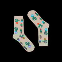 جورب - صبار-وردي