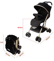 عربية الطيارة