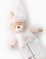 مقياس نمو الطفل - بيج