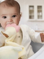 عضاضة دبدوب