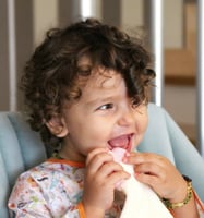 عضاضة دبدوب