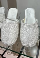 سليبر أستقبال