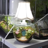 ابجورة عالم الاقزام