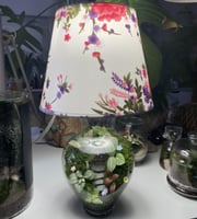 ابجورة عالم الاقزام