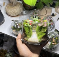 منزل الساحرة