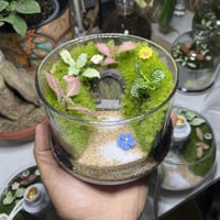 منزل الساحرة