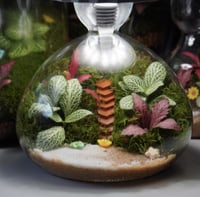 الفانوس العجيب