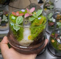 منزل الساحرة