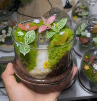 منزل الساحرة