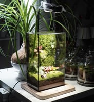 العالم الموازي