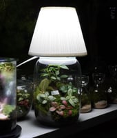 أبجورة شجرة الذكريات