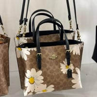 حقيبة كوتش مولي توت سمول فوري