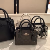 حقيبة كوتش ميني اندريا فوري