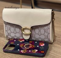 شنطة كوتش تابي تشين والت فوري