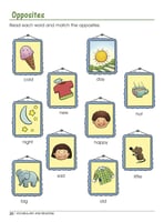 Vocabulary and Reading