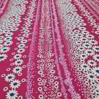 ورود الربيع الجميل