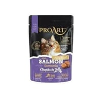 برو ارت طعام رطب بنكهة السالمون في الجيلي للقطط ال...