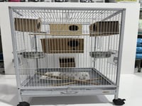 عش خشبي مستطيل لطيور البادجي والطيور الأخرى موديل...