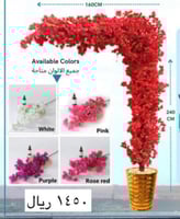 شجرة جهنمية