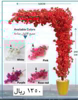 شجرة جهنمية