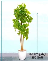 اشجار صناعية خضراء