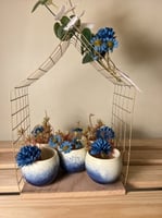 (٥)اكواب اسبريسو رقم g25