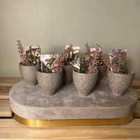 (٦) اكواب اسبريسو رقم المنتج 24g