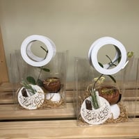 نقصة رمضان رقم f57