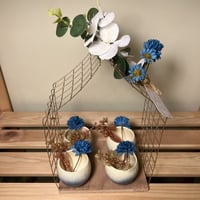 ستاند ب (٤) اكواب اسبريسو