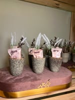 ستاند اكواب مع قهوة رقم المنتج رقم 629